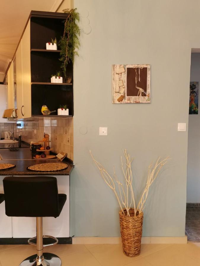 Theia Analipsi Central Apartment Katerini Exterior photo